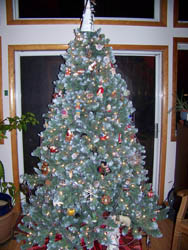 Our Chirstmas Tree