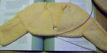 Bamboo Baby Sweater from 101 Luxury Yarn One-Skein Wonders.